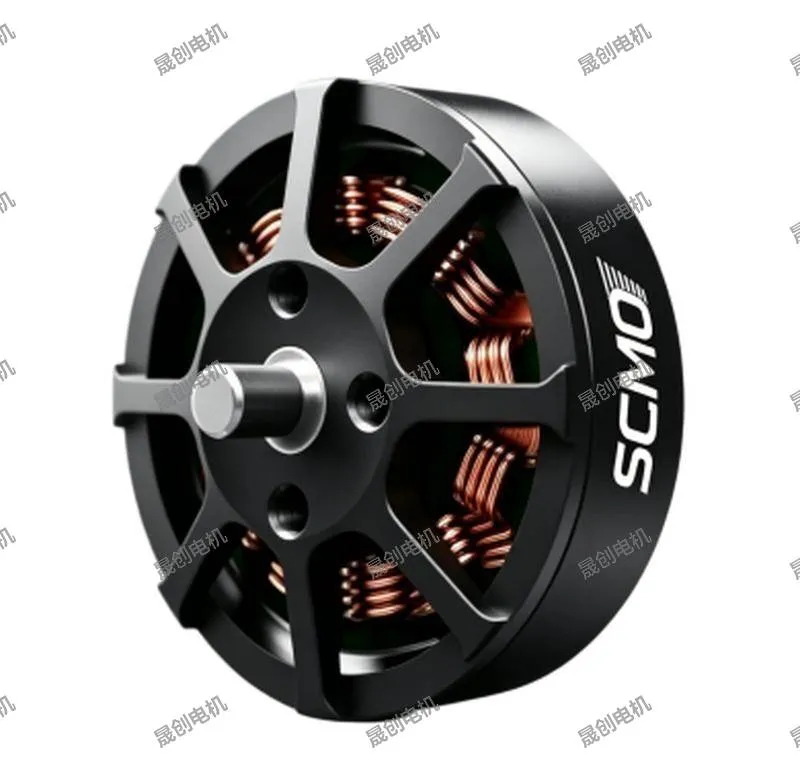 SC4006