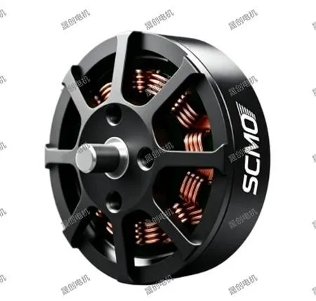 SC4006